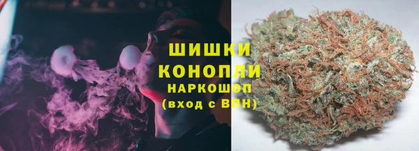 трава Долгопрудный