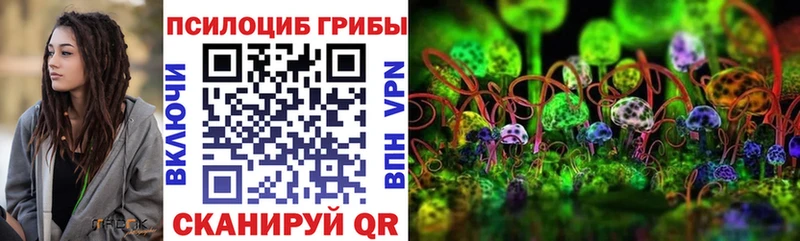 где можно купить наркотик  Липки  Псилоцибиновые грибы мухоморы 
